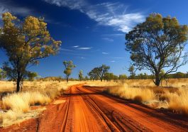 Une voiture roule sur une longue route rectiligne au cœur de l’outback australien.