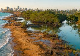 Panorama de voyage au Sénégal reliant la côte de Dakar, les mangroves du Saloum et les paysages verdoyants de la Casamance.